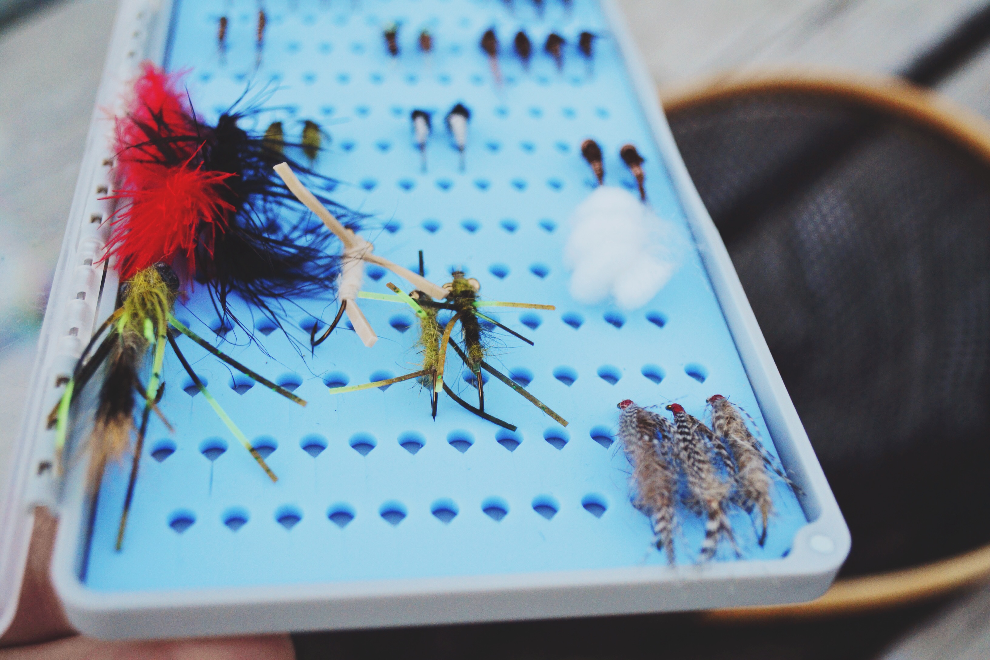 Gear Review : The Tacky Fly Box – A Trout Ate My Homework
